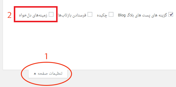 حل مشکل نشان ندادن زمینه های دلخواه وردپرس
